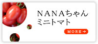 NANAちゃんのミニトマト